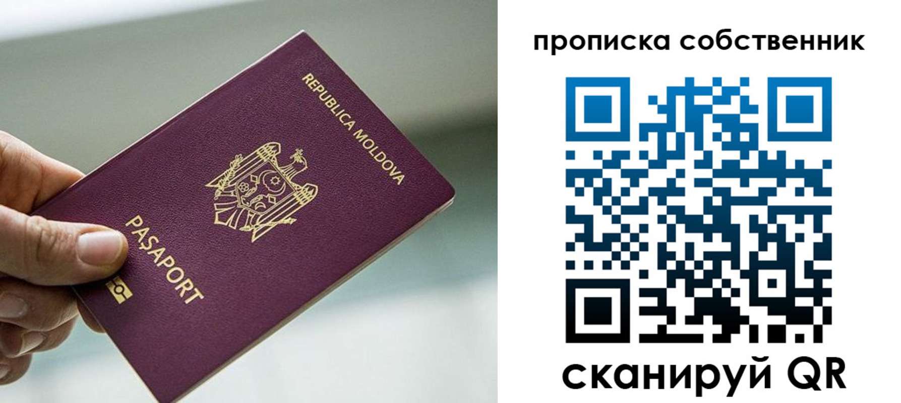 прописка паспорт в Заринске